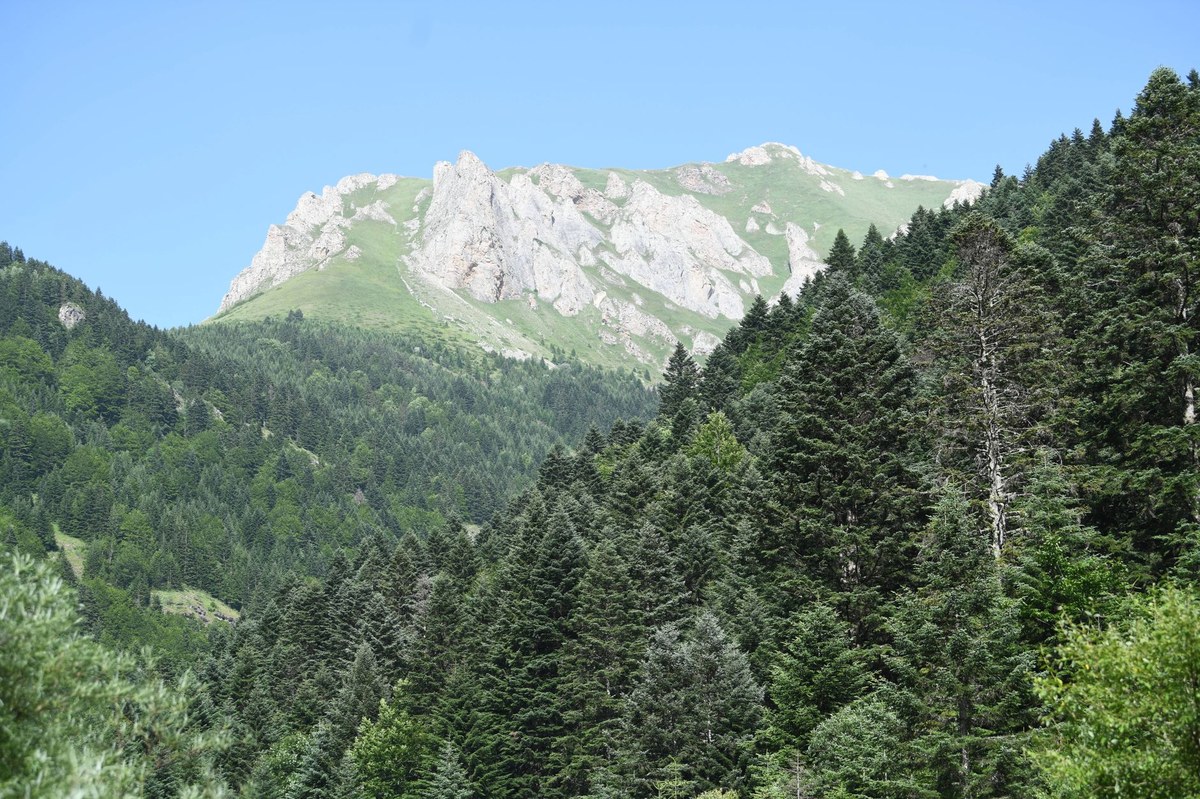Yendegaia National Park