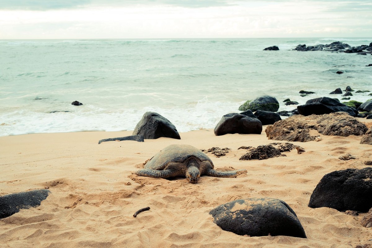 Keawanui Beach