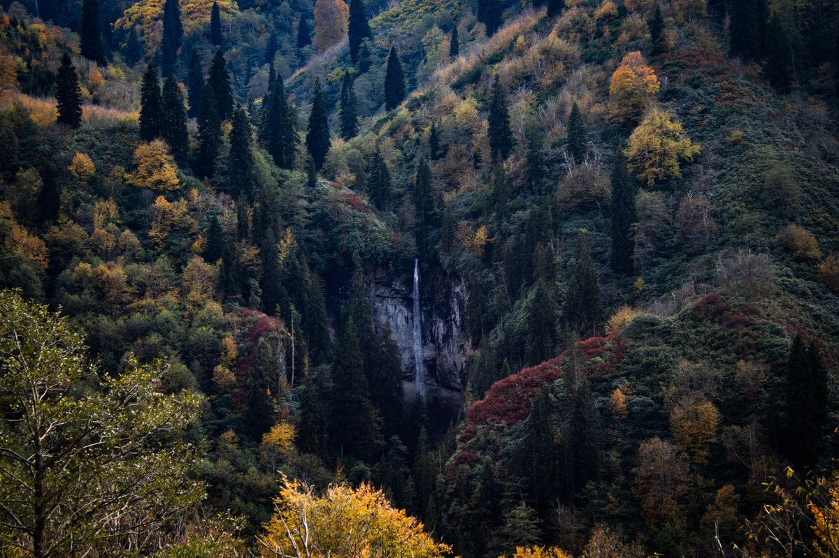 Ciro Falls