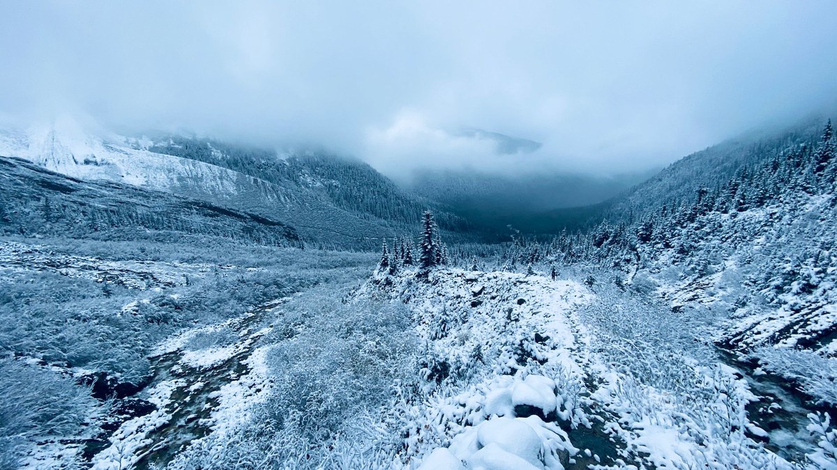 Asymptote Glacier