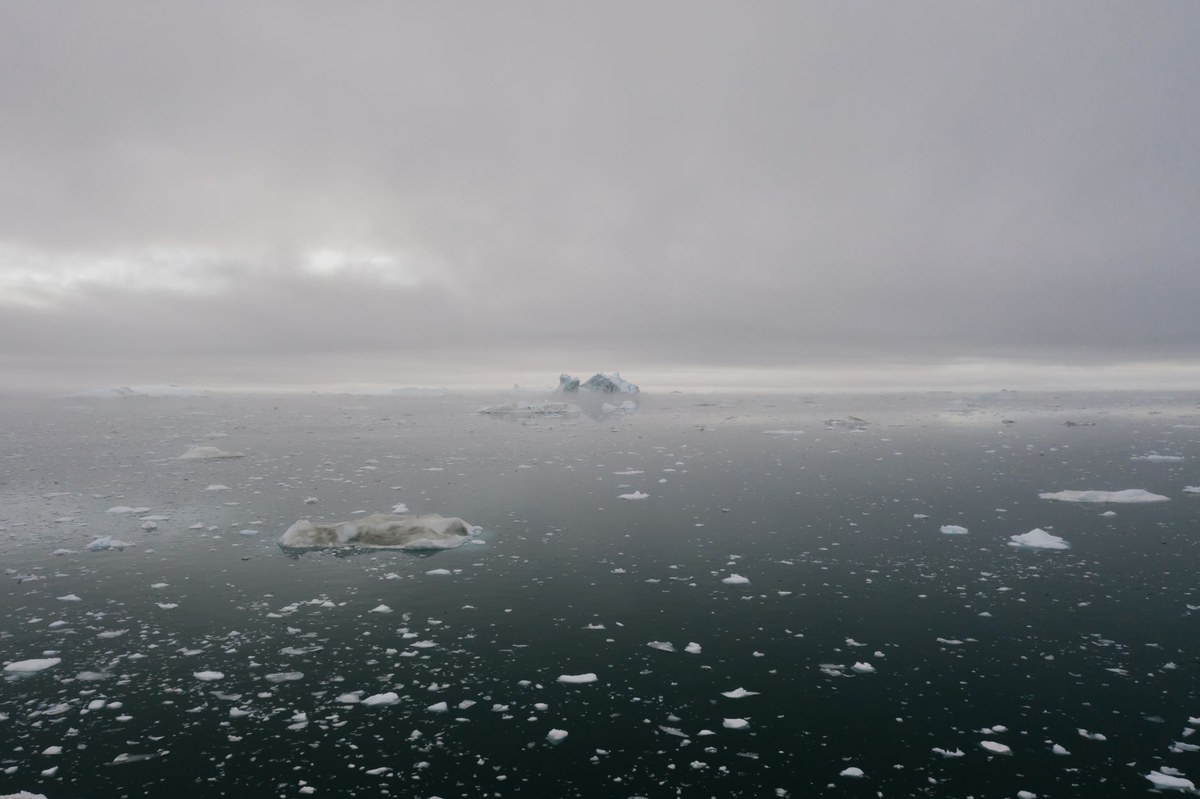 Dibble Iceberg Tongue