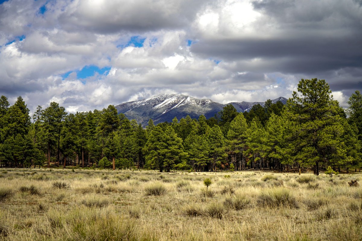 Gallo Peak