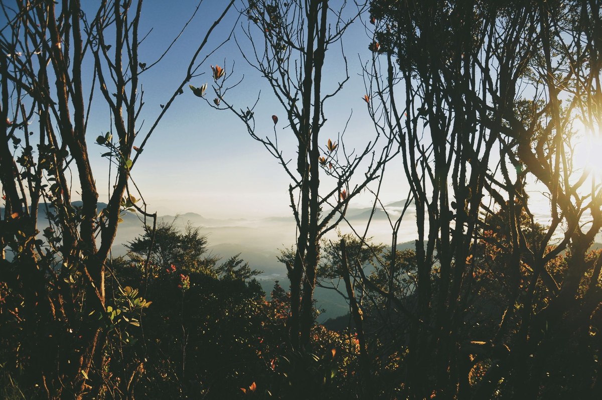 Bukit Tujuh