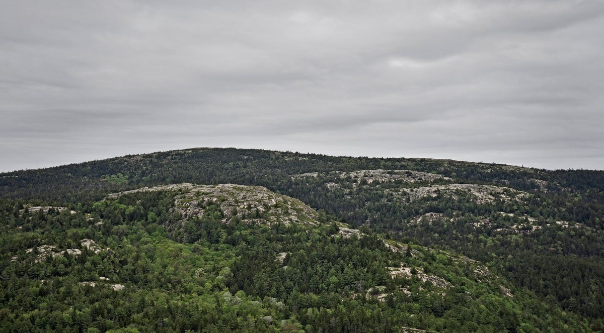 Abbott Mountain