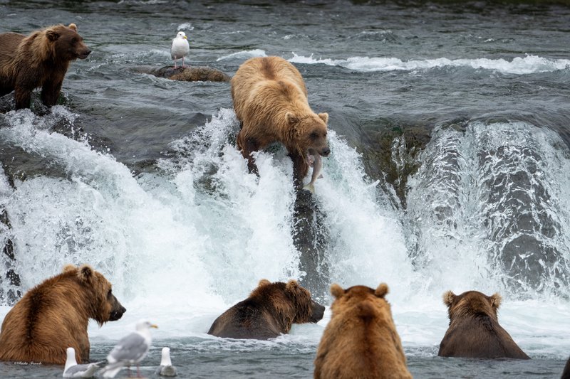 Alaska