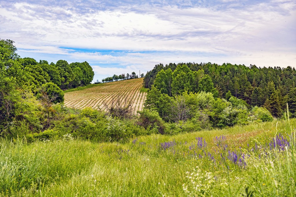 Provence