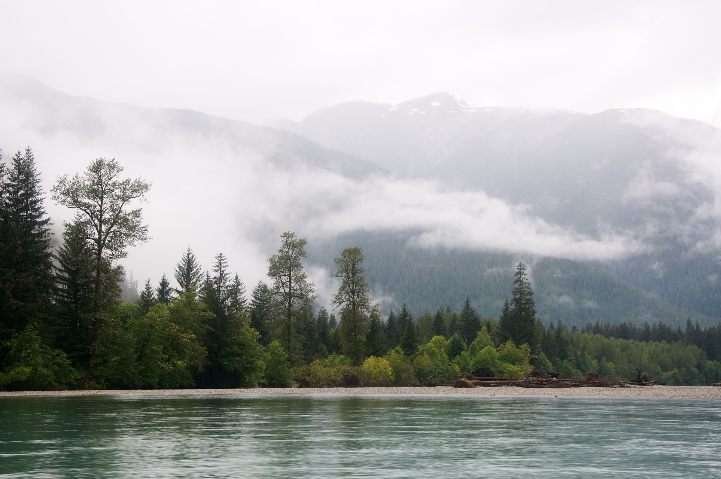 British Columbia (Grizzly Coast)