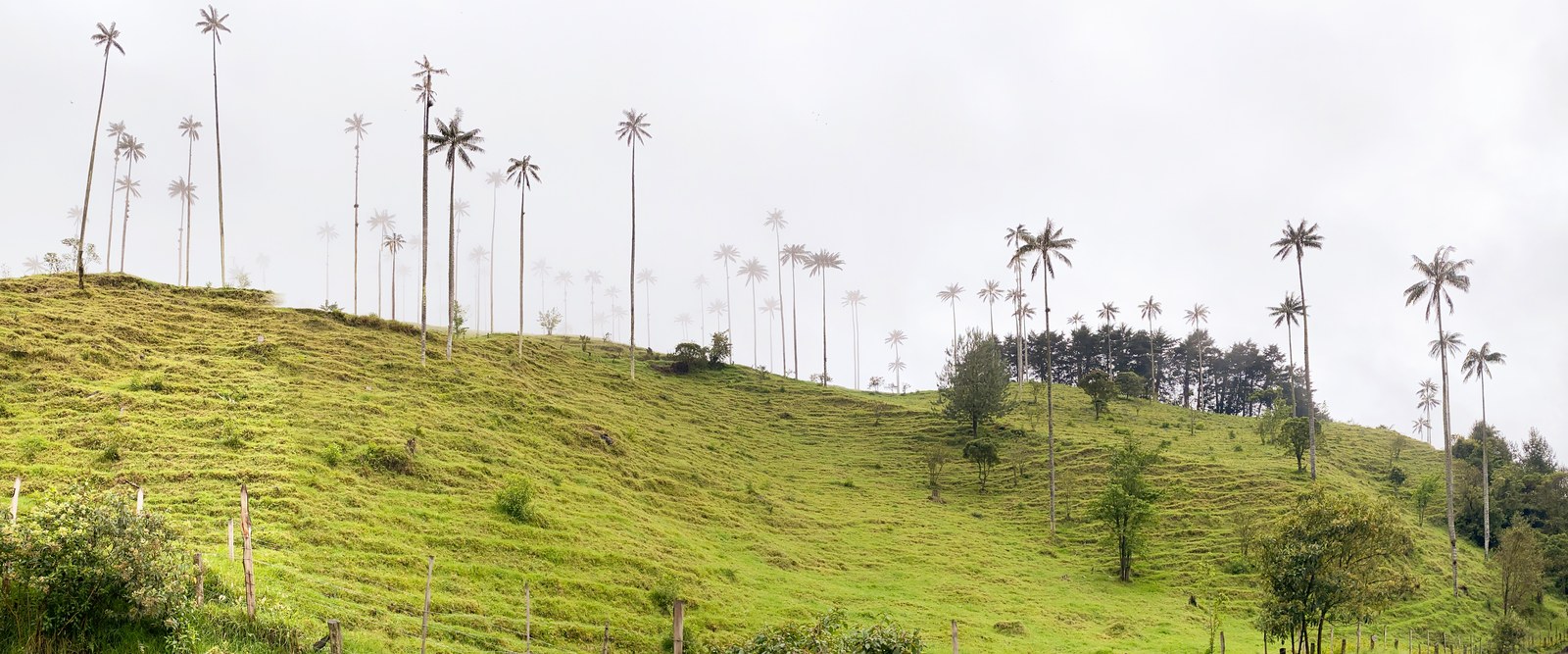 Colombia