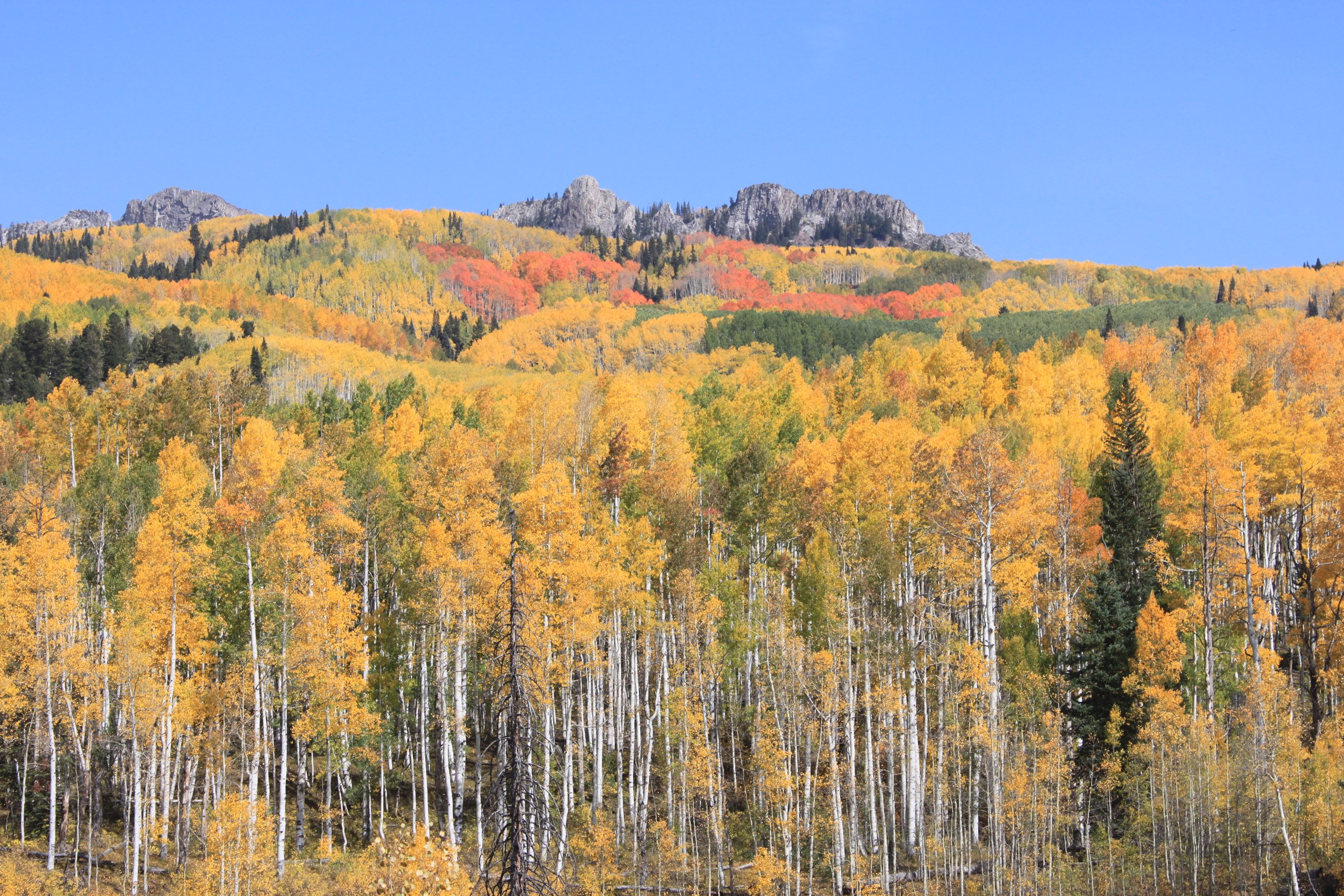 Colorado Autumn