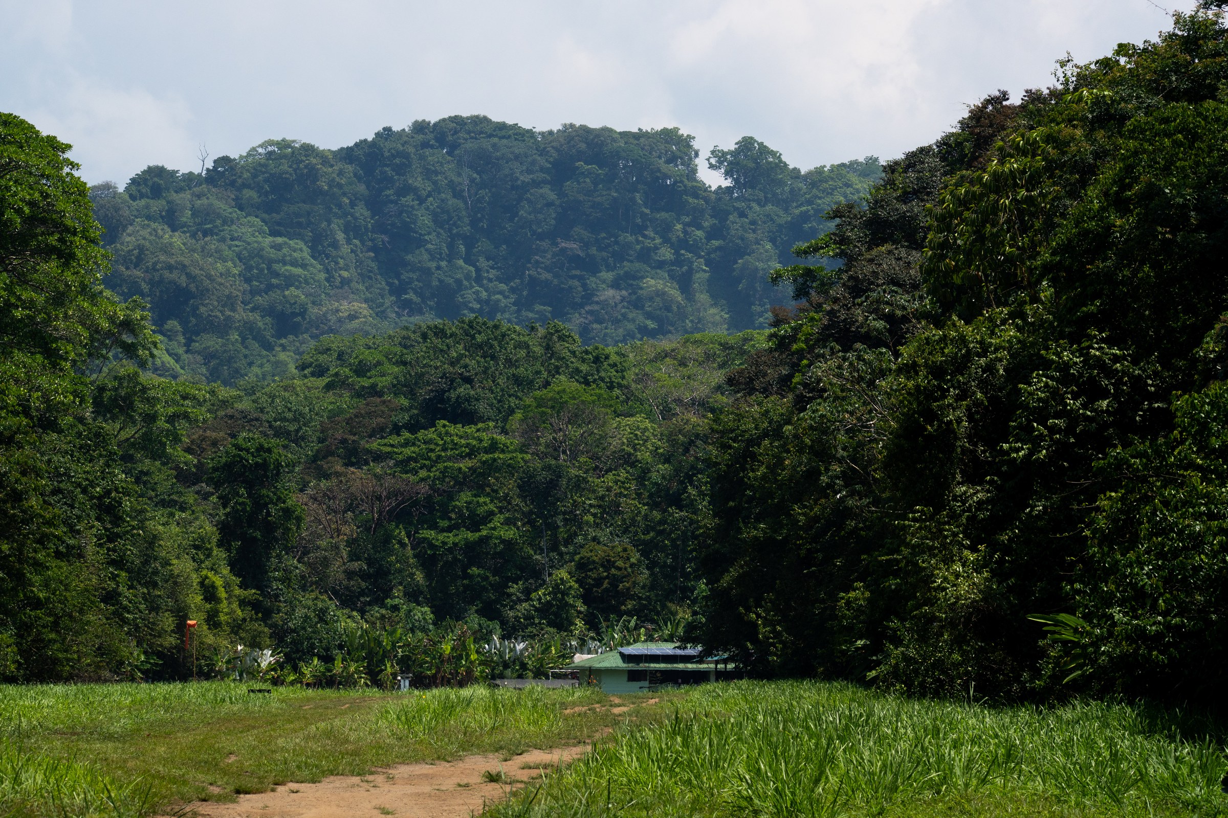 Costa Rica (Osa Peninsula)