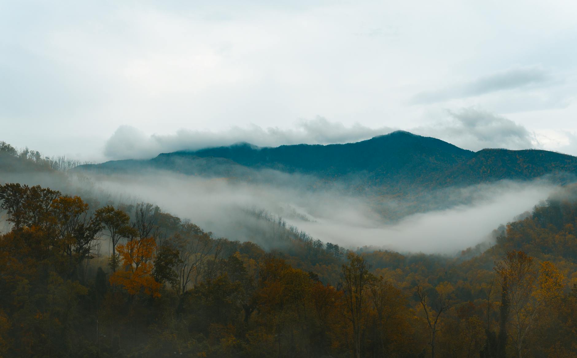 Great Smoky Mountains