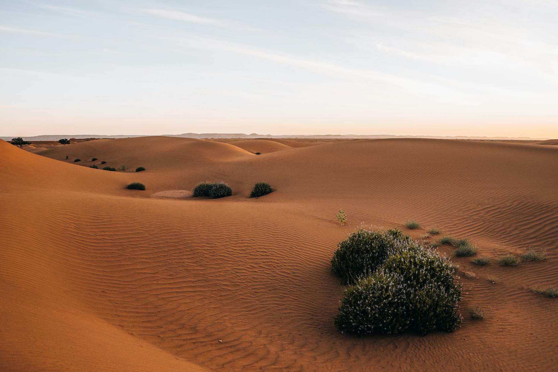 Morocco