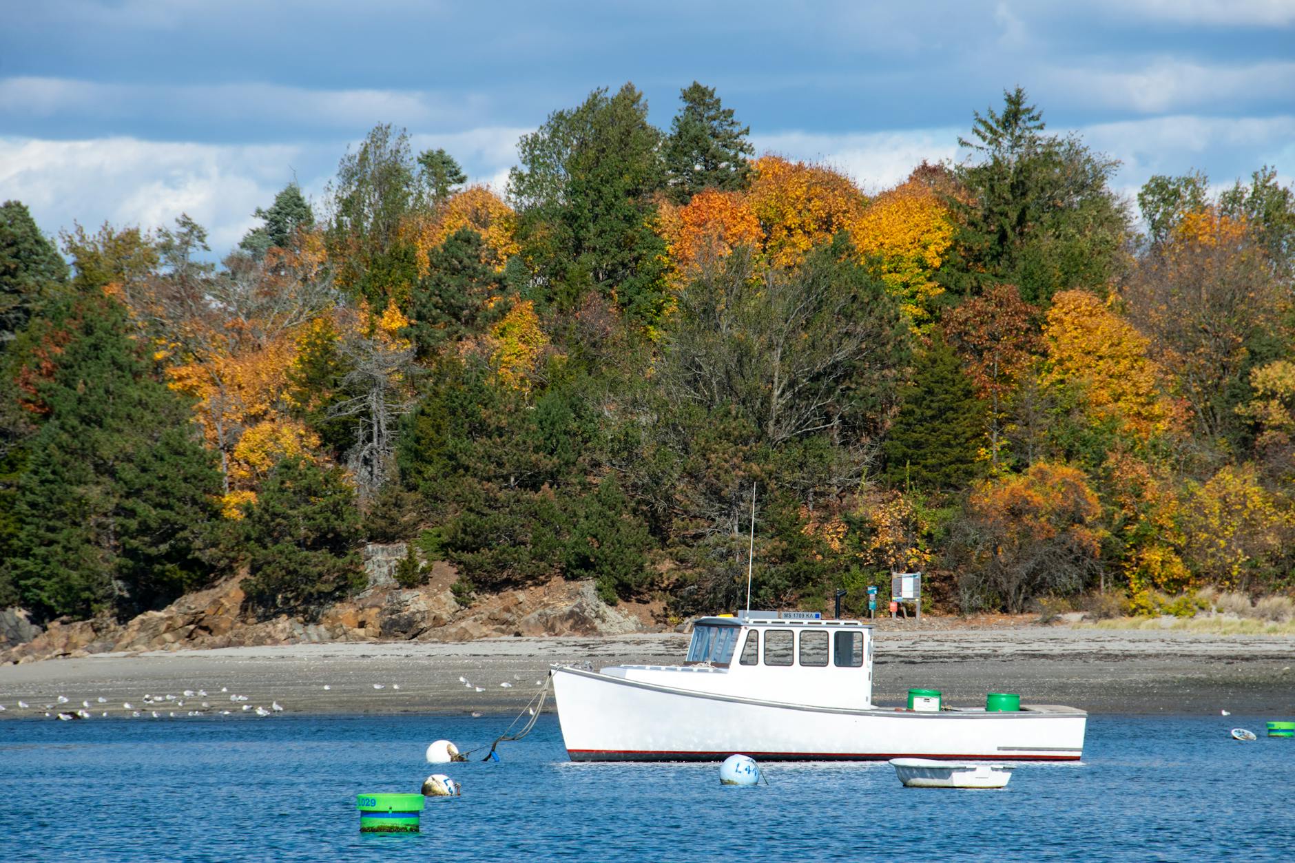 New England