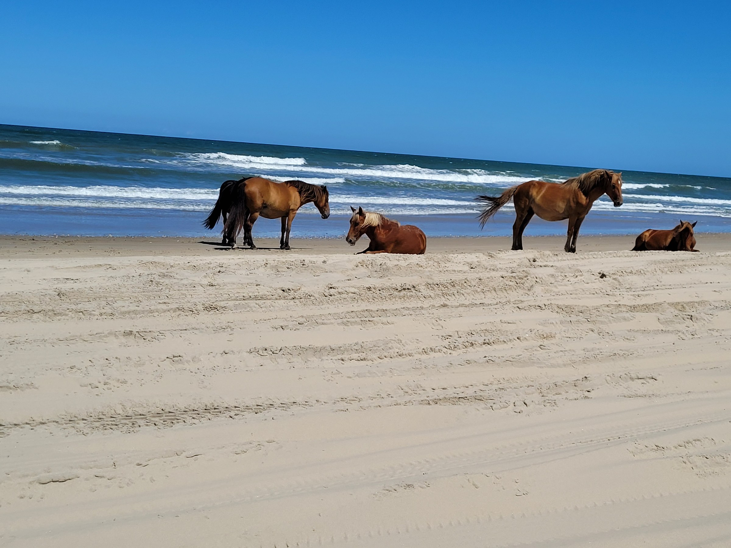 Outer Banks