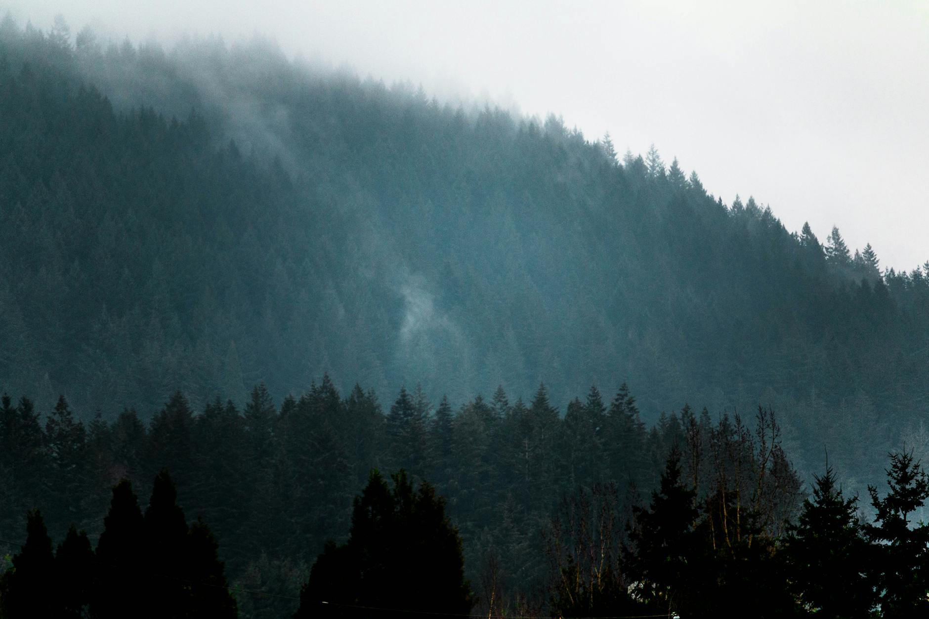 Pacific Northwest