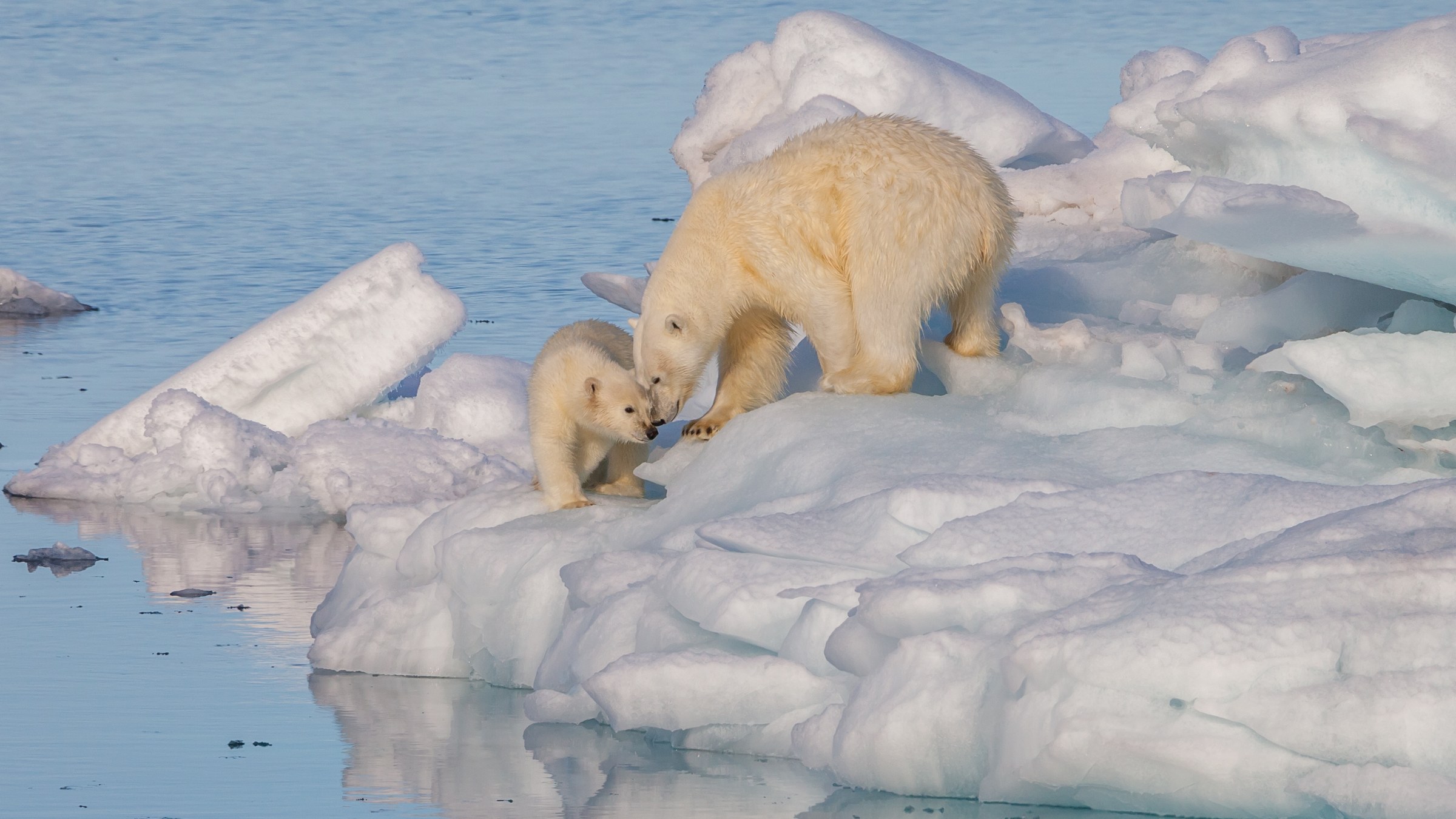 Svalbard