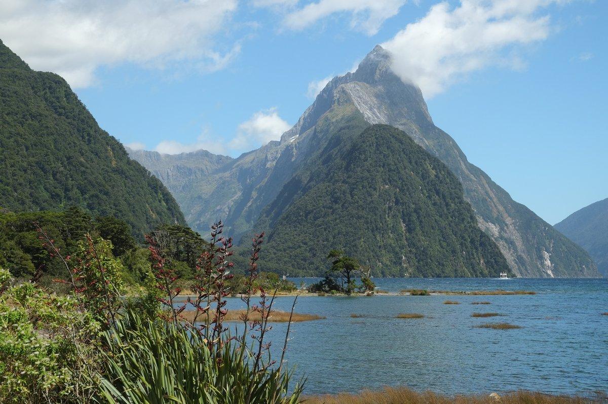 Mitre Peak rising above Milford Sound with native flax in the foreground, Fiordland National Park, New Zealand