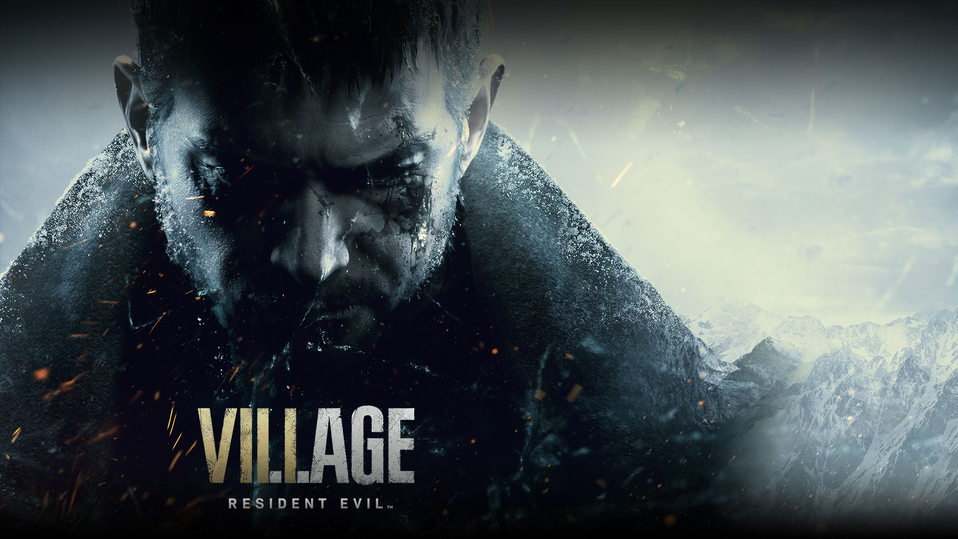 生化危机：村庄