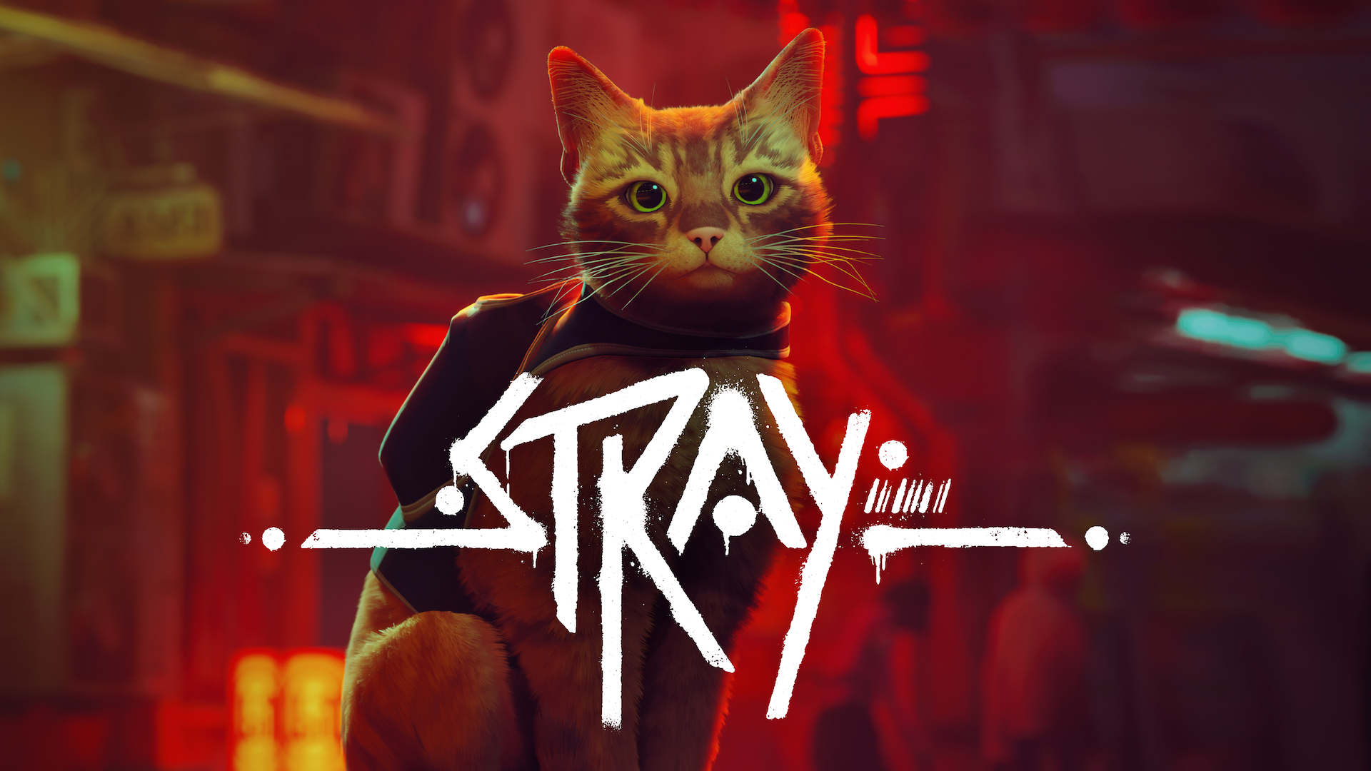 迷失 Stray