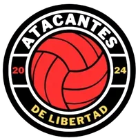 ATACANTES DE LIBERTAD