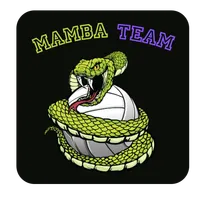MAMBA TEAM