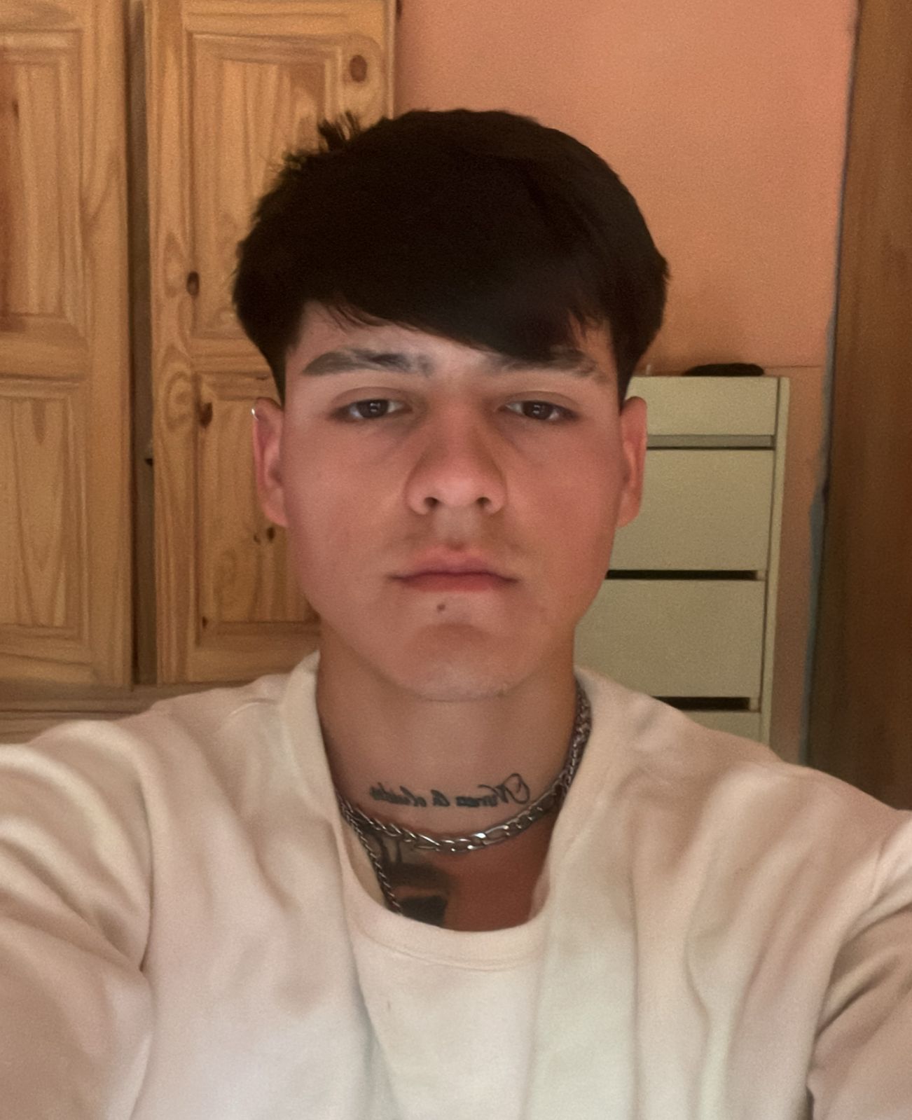 Brian Alexis Tejeda