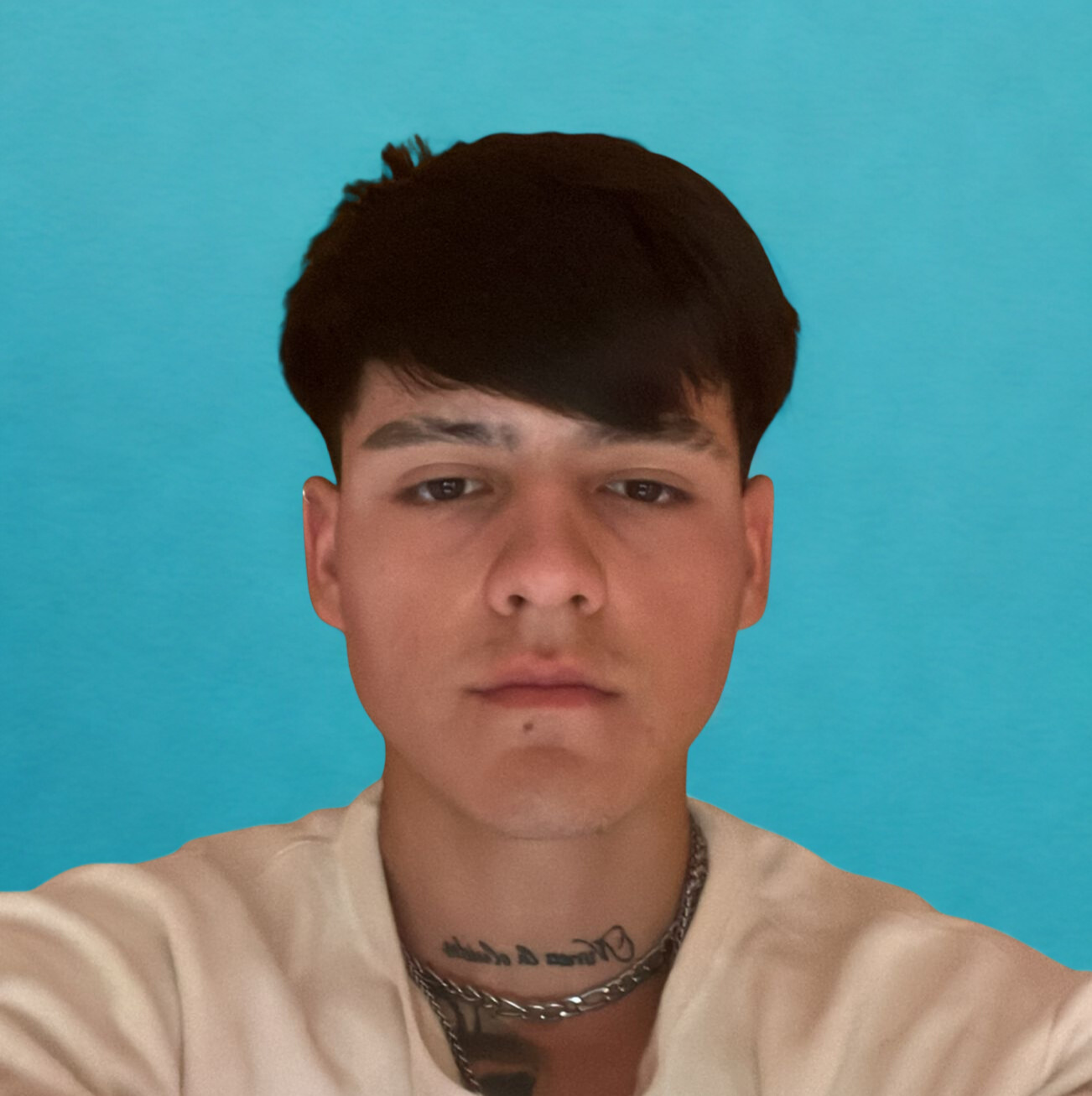 Brian Alexis Tejeda