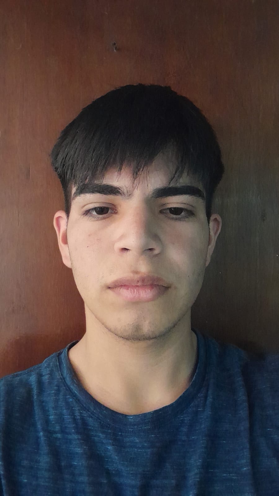 Gonzalo Barrios