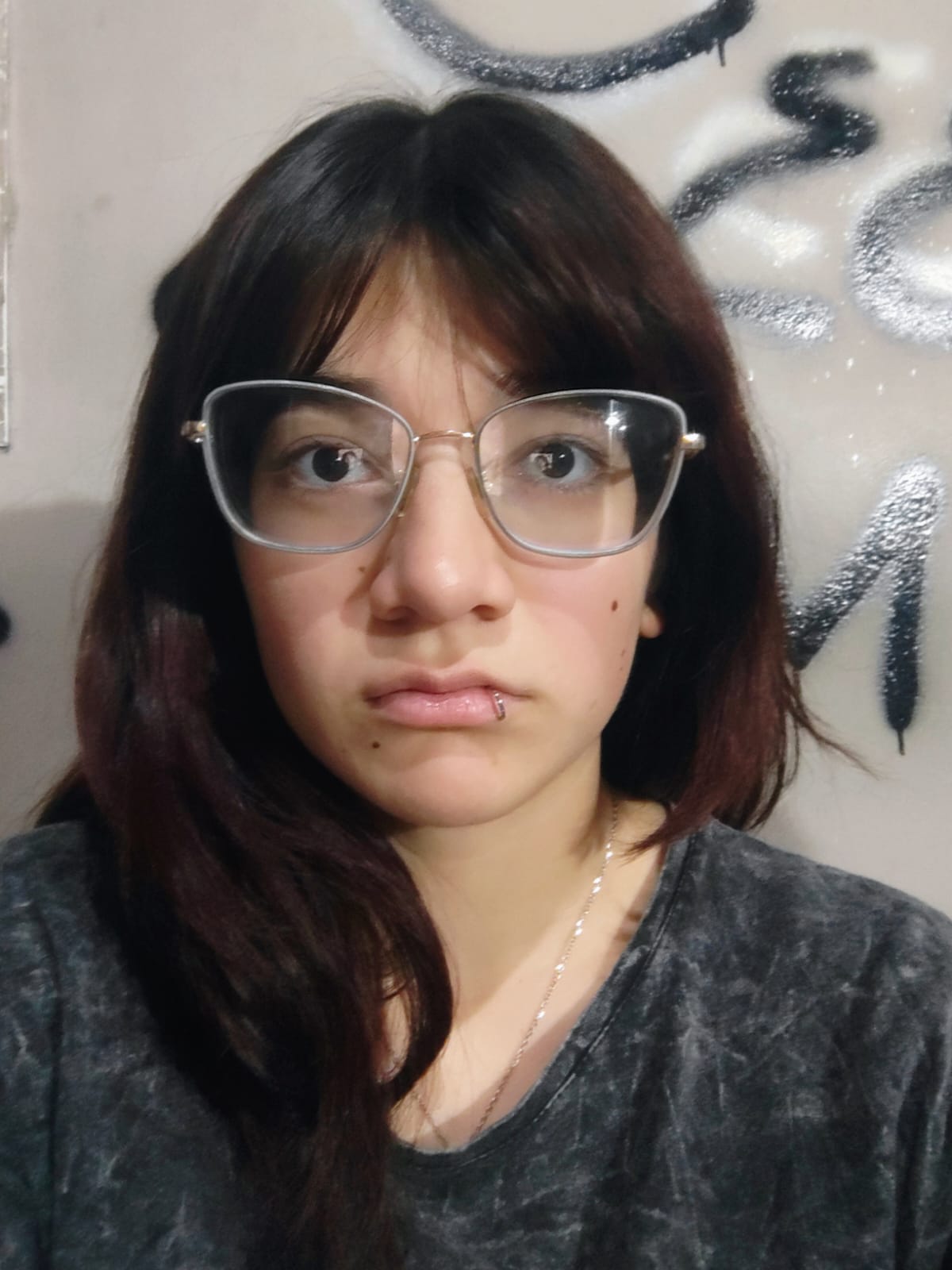Sofia Emilce Villafañe