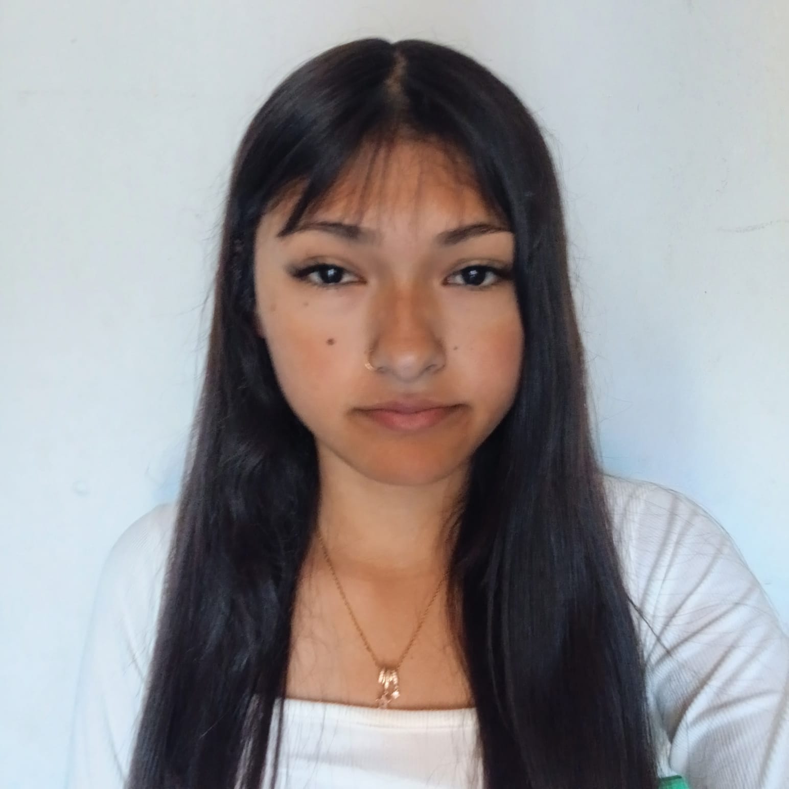 Wendy Ailen Benitez Insaurralde