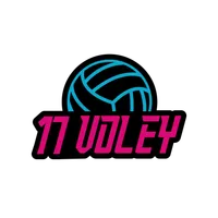 17 V