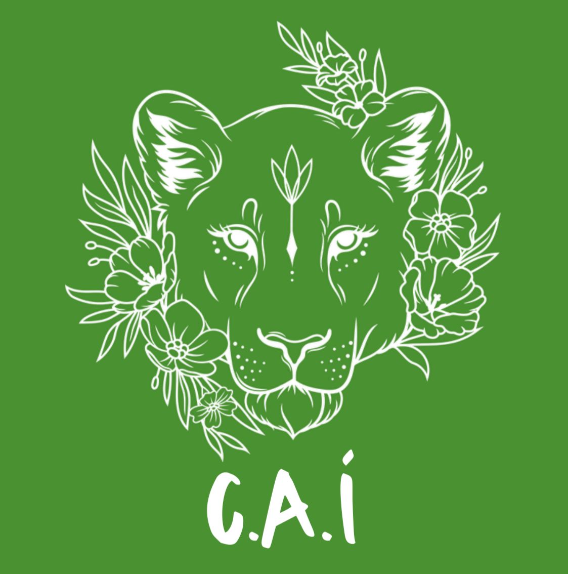 CLUB ATLETICO ITUZAINGO