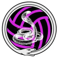 VIBORAS