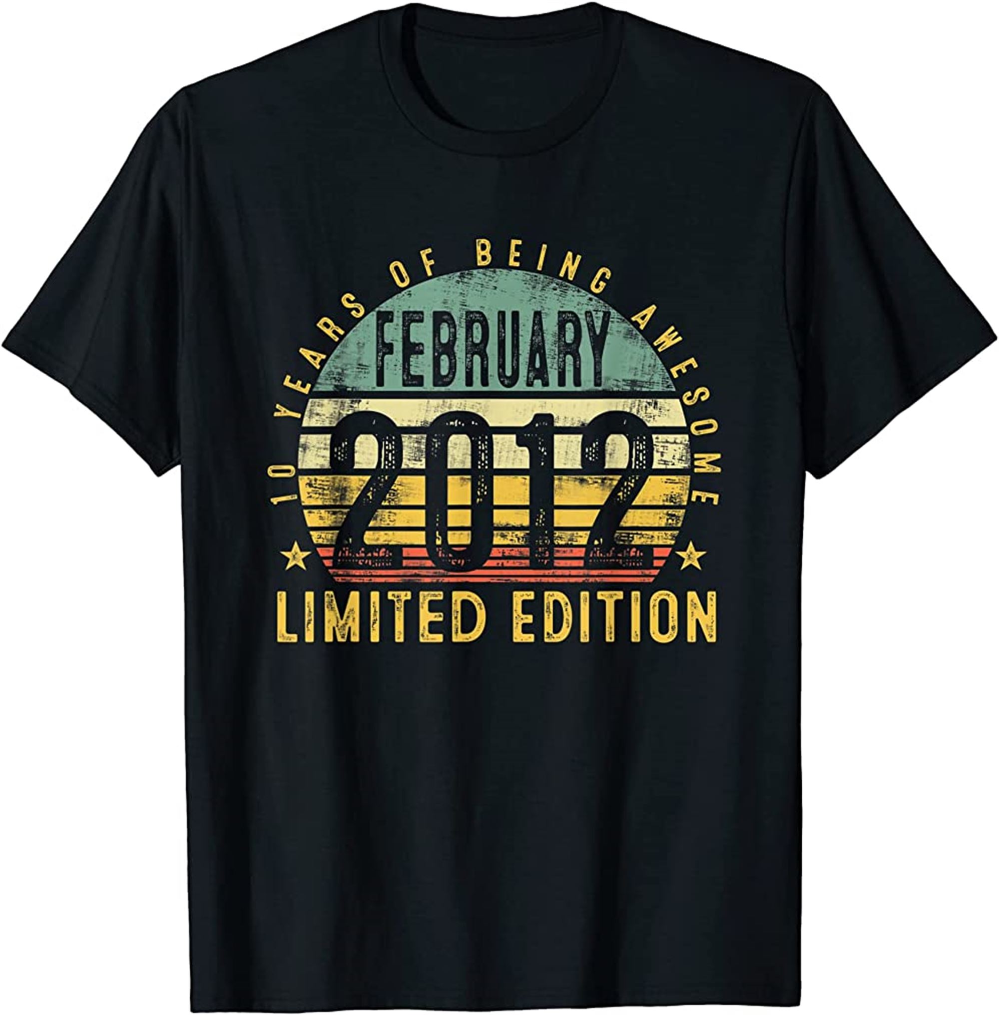 10th Birthday Gift Men Vintage February 2012 10 Years Old T-shirt Plus Size Up To 5xl