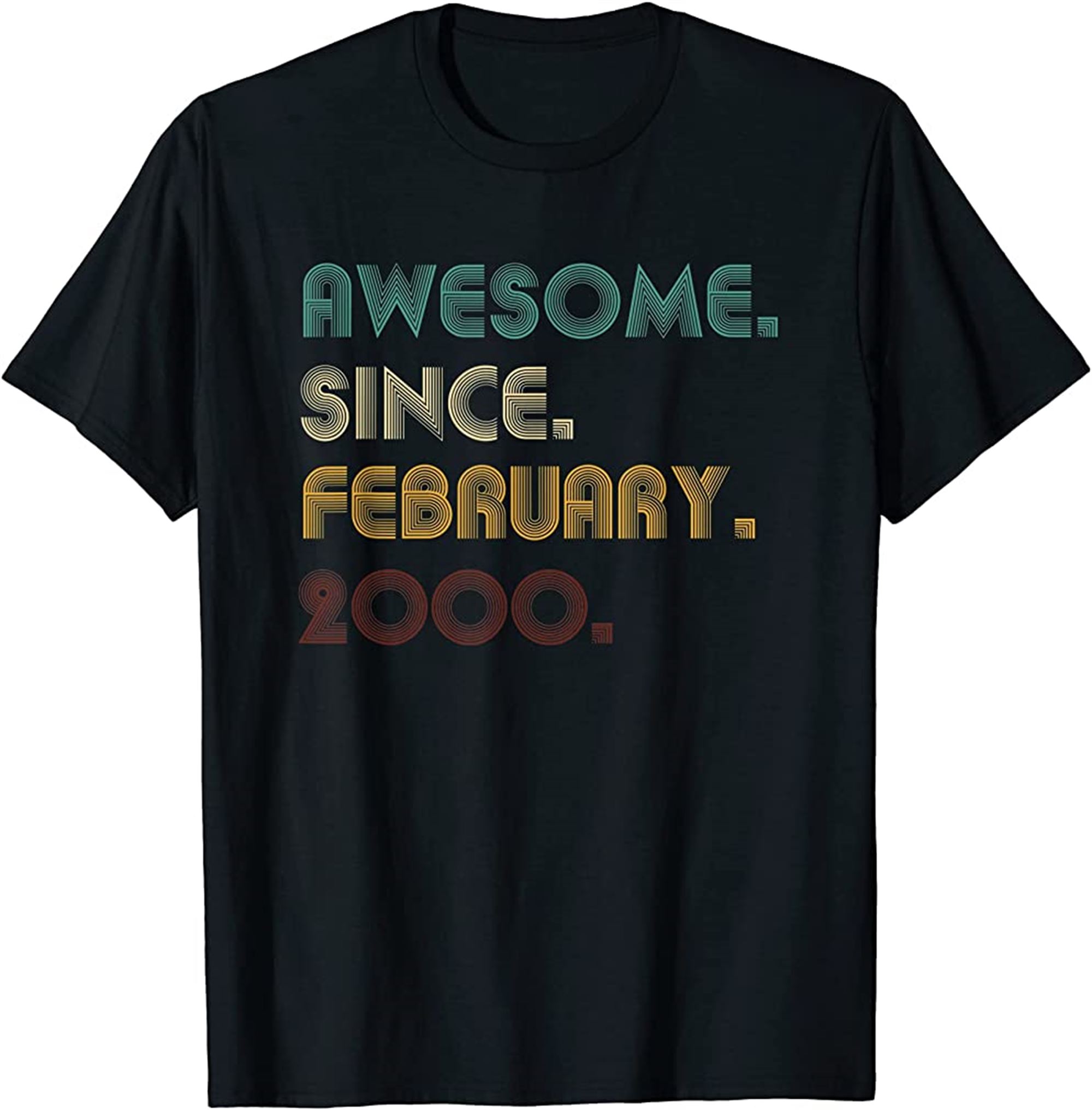 Awesome Since February 2000 22nd Birthday 22 Year Old Gift T-shirt Size Up To 5xl