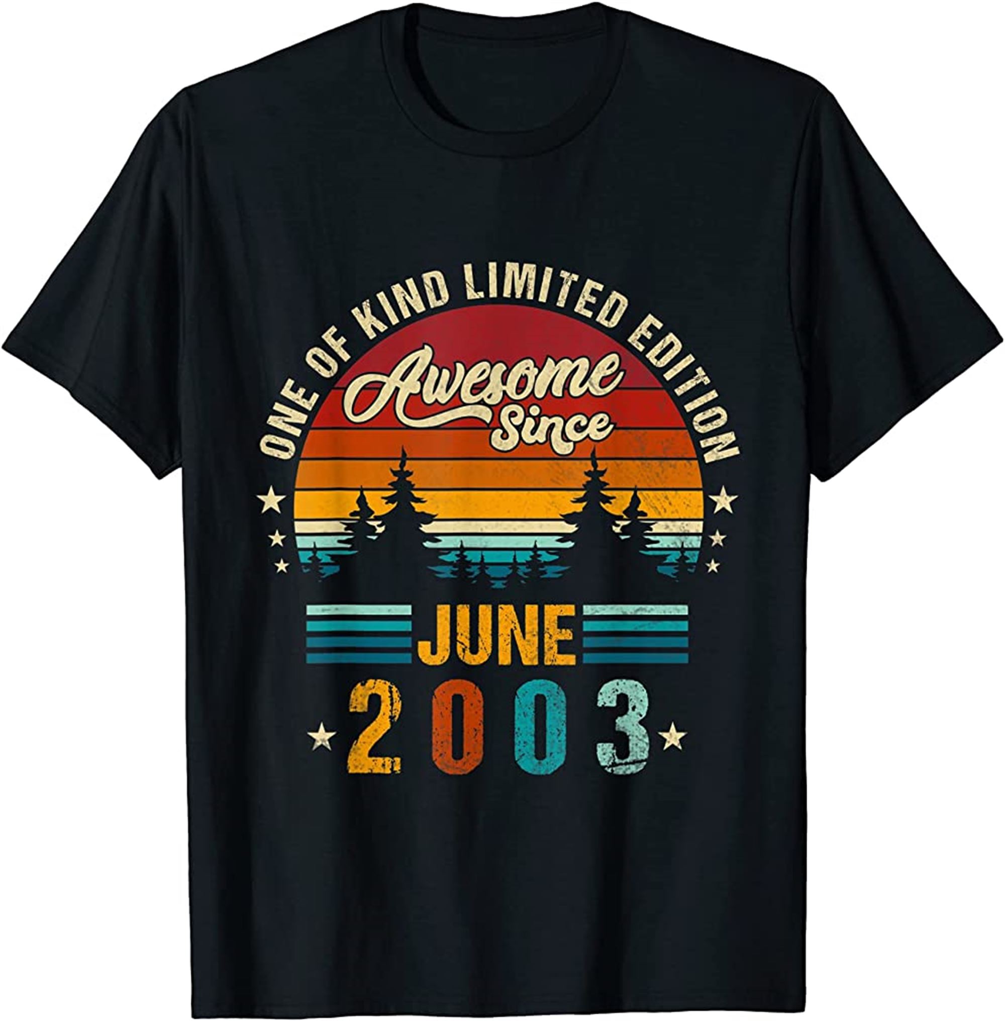 Vintage 19th Birthday Awesome Since June 2003 Epic Legend T-shirt Plus Size Up To 5xl