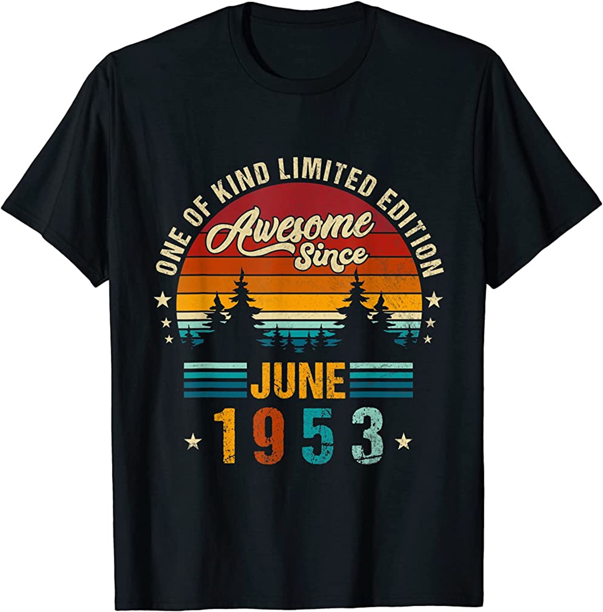 Vintage 69th Birthday Awesome Since June 1953 Epic Legend T-shirt Full Size Up To 5xl