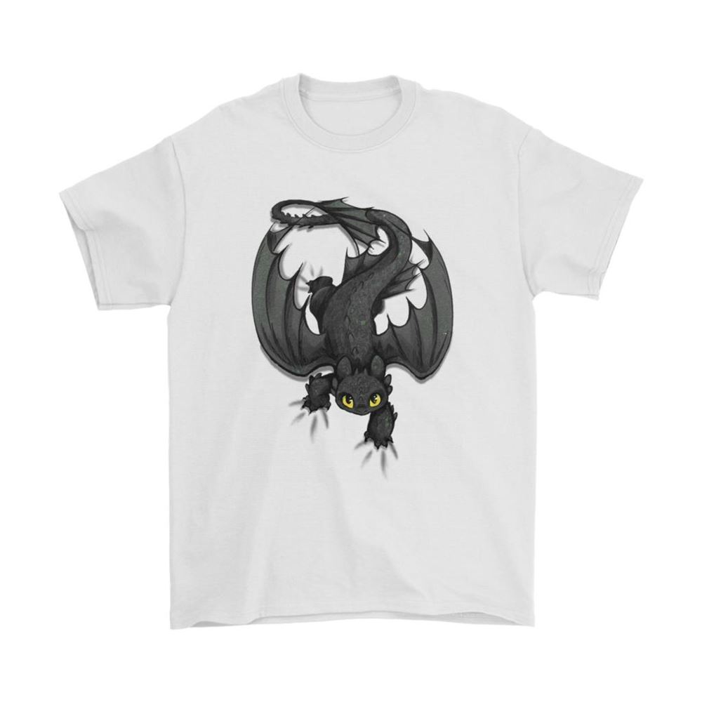 Night Fury Toothless How To Train Your Dragon Shirts