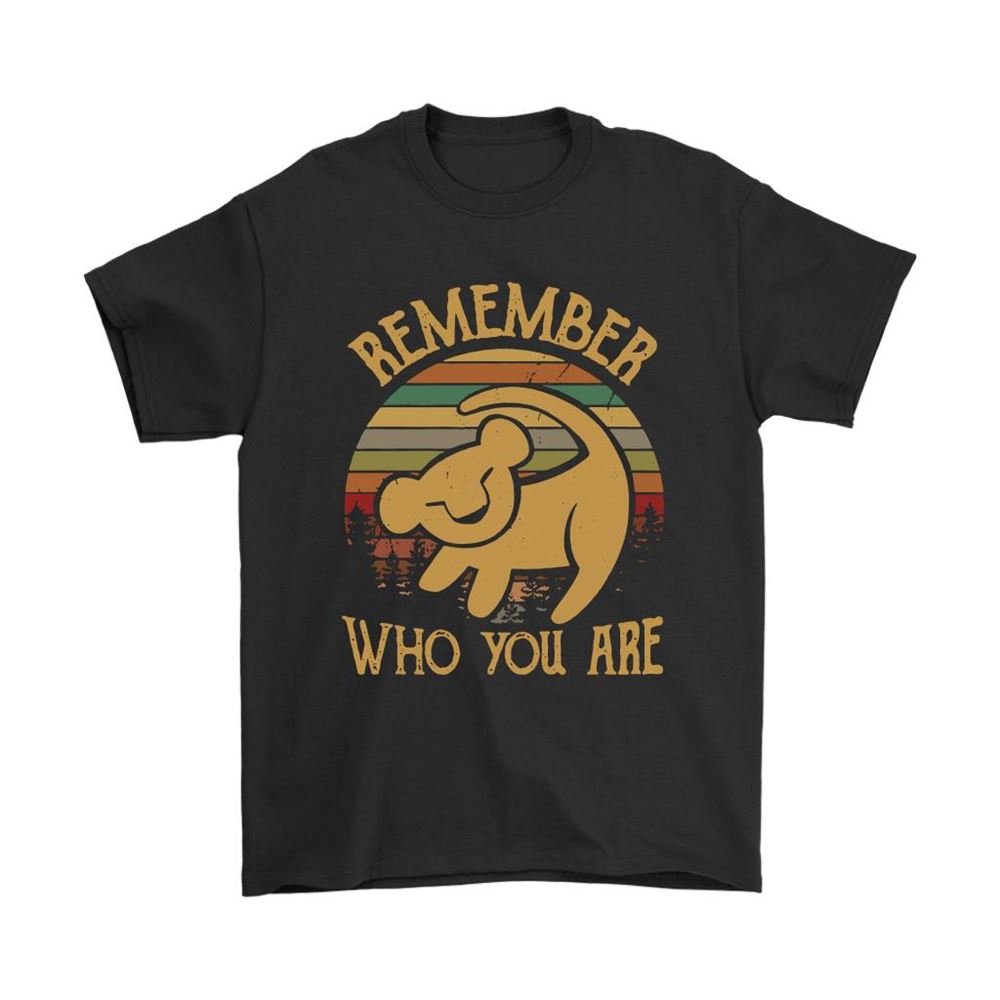 Simba Wall Cave Drawing Remember Who You Are Vintage Lion King Shirts