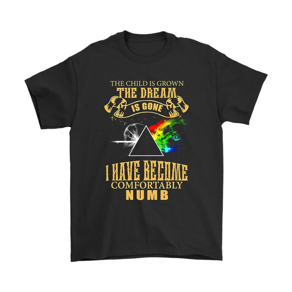 The Child Is Grown The Dream Is Gone Comfortably Numb Shirts