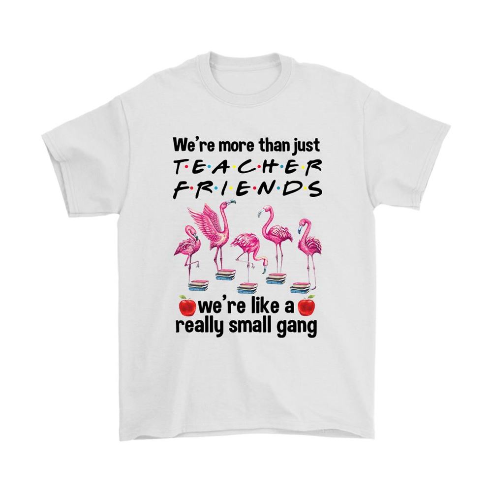 Were More Than Teacher Friends Like A Small Gang Flamingo Shirts