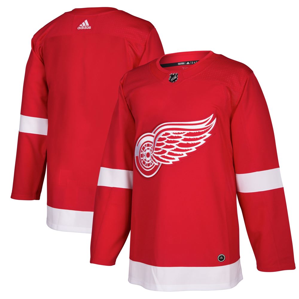 Men's Detroit Red Wings Home Blank Jersey Red