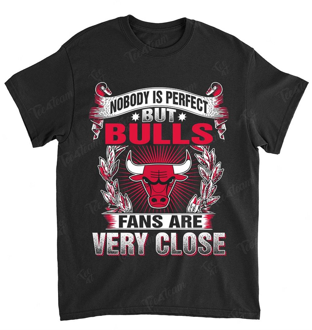 Nba Chicago Bulls 166 Nobody Is Perfect T-shirt