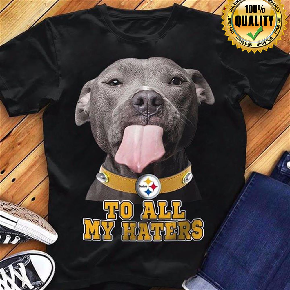 Pitbull Pittsburgh Steelers To All My Haters Size S-5xl