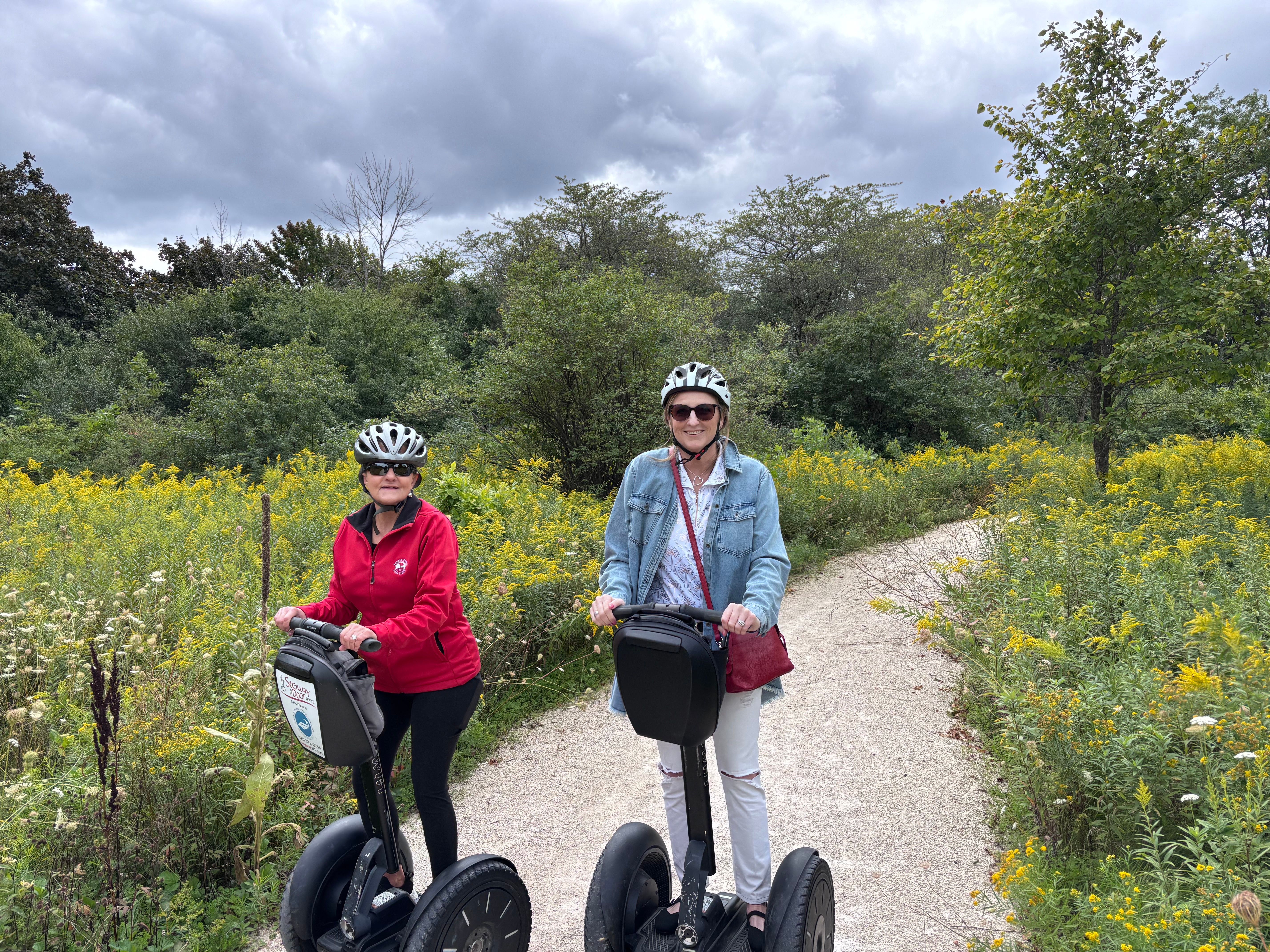 Kohler Murals & Public Art Segway Tour - Image 4