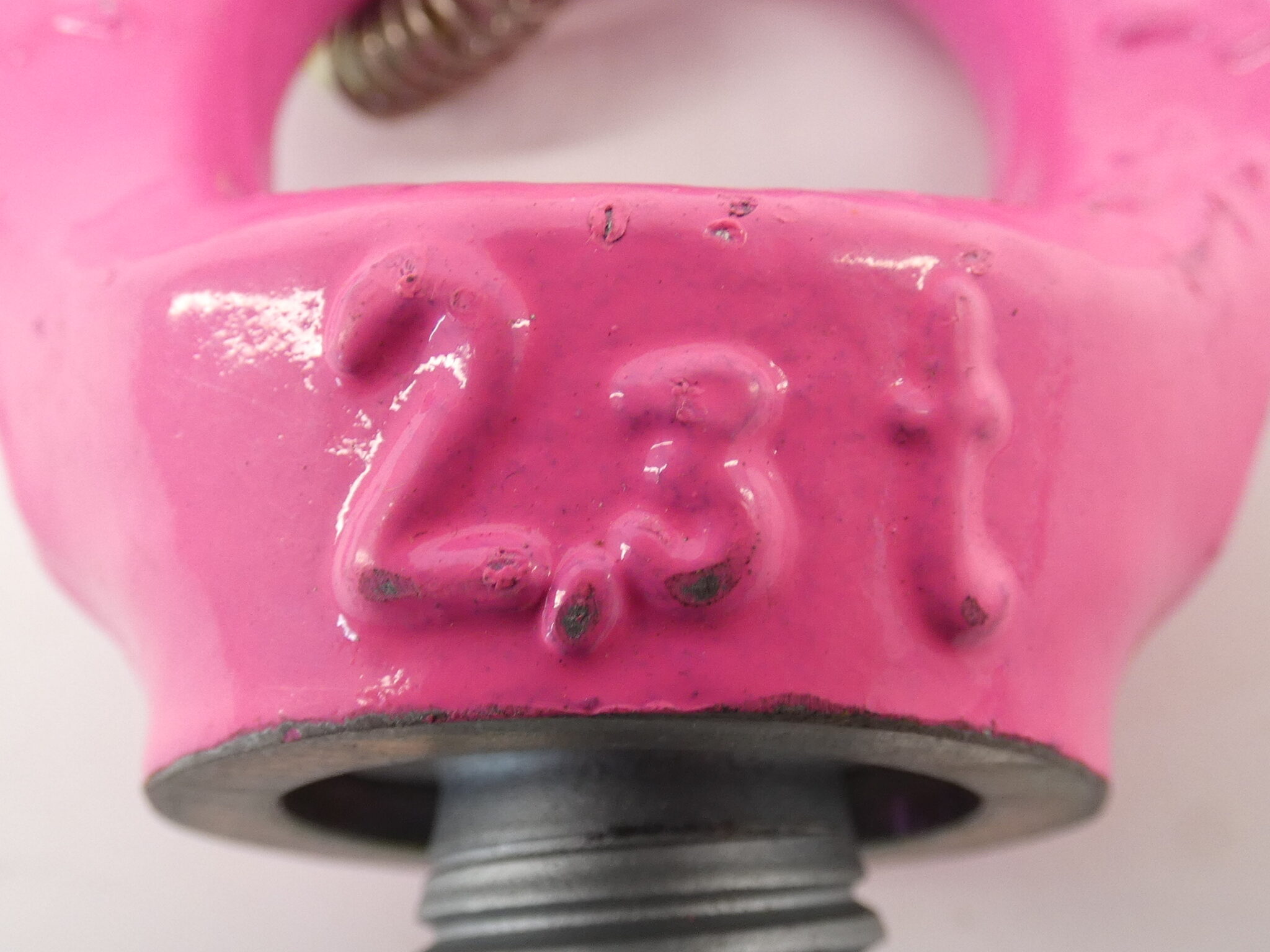 RUD Starpoint VRSWLL50702.3T Swivel Pink Eyebolt GPM Surplus