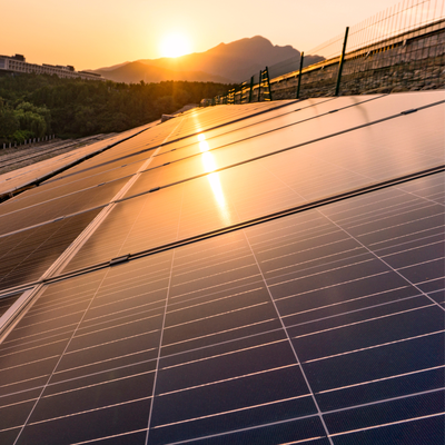 Sunset across an array at ground level, mountains