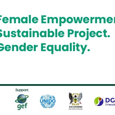 Women Sustainable Energy Program