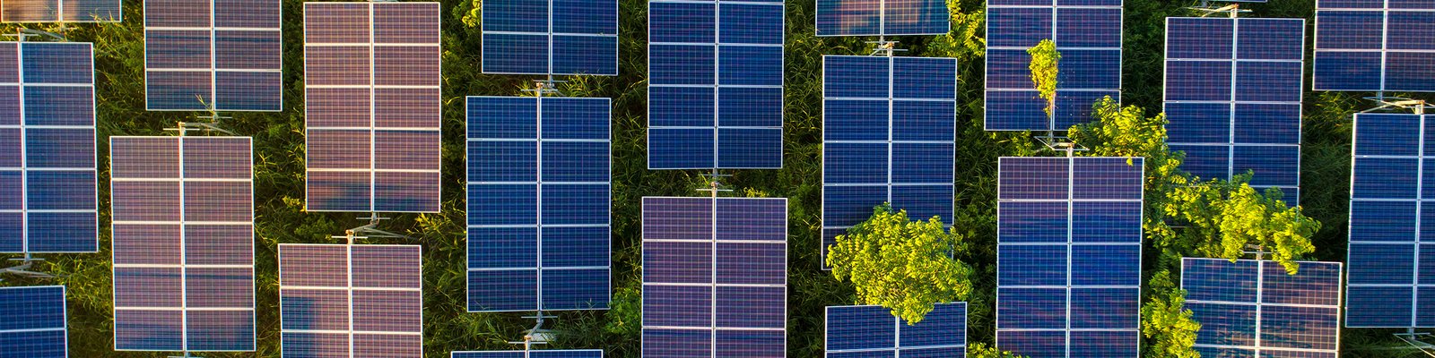 Aerial view of field with vegetation peeking around some panels