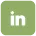 LinkedIn Icon